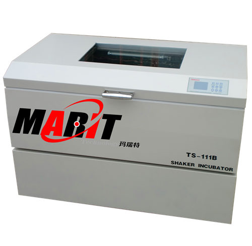 Pʽ?f)uTS-111B